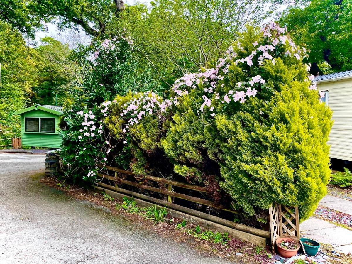 Snowdonia Holidays Caravan Hire - Aberdunant Park - 34 The Green Prenteg Esterno foto