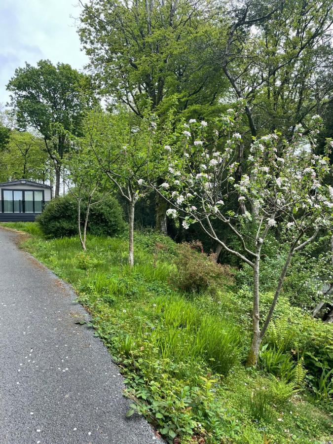 Snowdonia Holidays Caravan Hire - Aberdunant Park - 34 The Green Prenteg Esterno foto